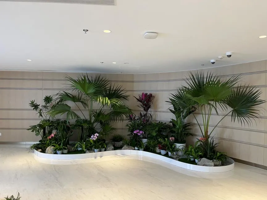 探寻宁波江北绿化修剪哪家棒？看这篇就知道！